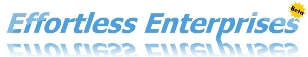 EFE logo small